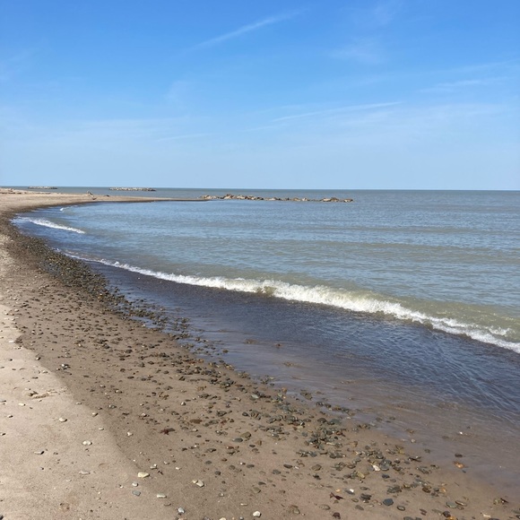 Meet your Posher, Kyrie - Picture 12 of 12